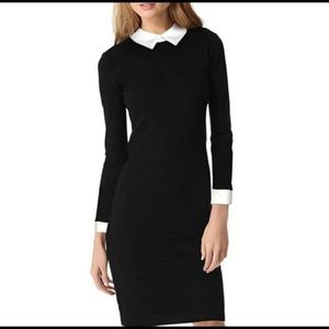 Lauren Ralph Lauren black and white collared dress